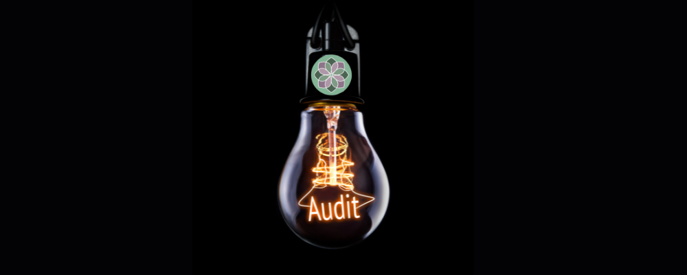 The Dark Side of Human Resources: An Eye-Opening Audit Reveals Surprising Realities